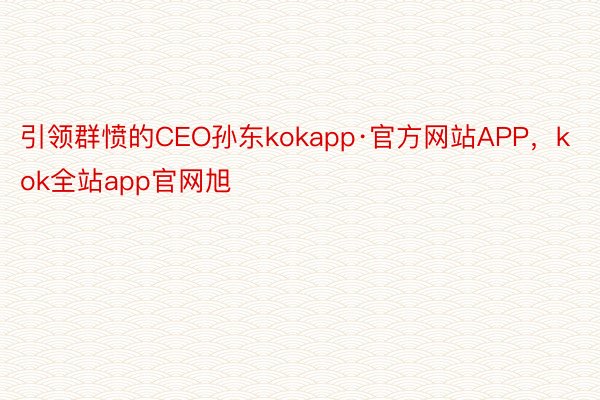 引领群愤的CEO孙东kokapp·官方网站APP，kok全站app官网旭