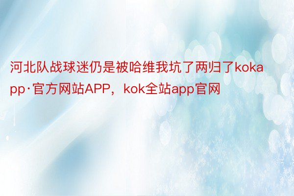 河北队战球迷仍是被哈维我坑了两归了kokapp·官方网站APP，kok全站app官网