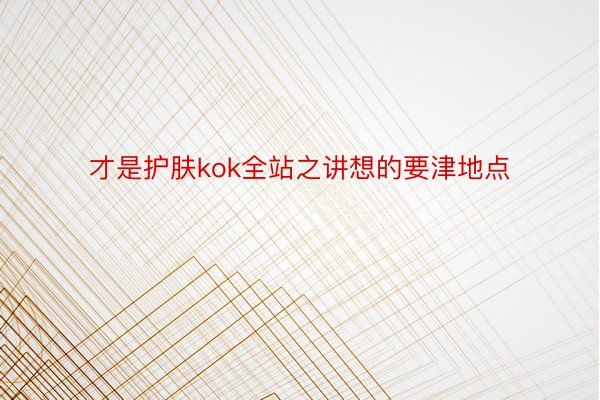 才是护肤kok全站之讲想的要津地点